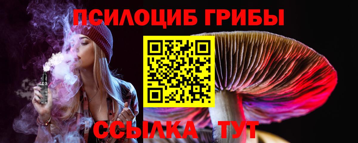 Реутов  Галлюциногенные грибы мицелий  Галлюциногенные грибы прущие грибы  Вход с VPN 